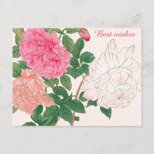 Rosa und weiße Rosenblumen Grüne Blätter Herzliche Postkarte