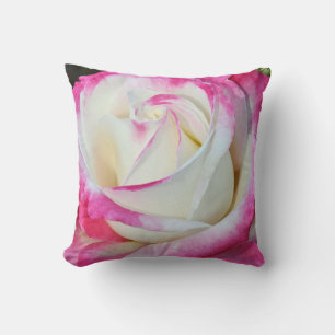 Rosa und weiße Single Rose Kissen