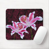 Rosa und Weiße Sterngazer Lily Nah up Fotografie Mousepad (Mit Mouse)