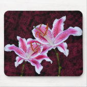 Rosa und Weiße Sterngazer Lily Nah up Fotografie Mousepad (Vorne)