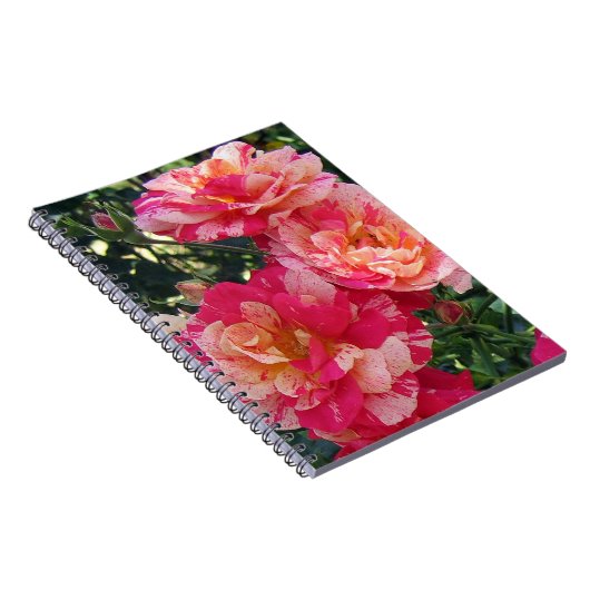 Rosa und weiße Streifen Rose Blumenstrauß Klein Notizblock (Rechte Seite)