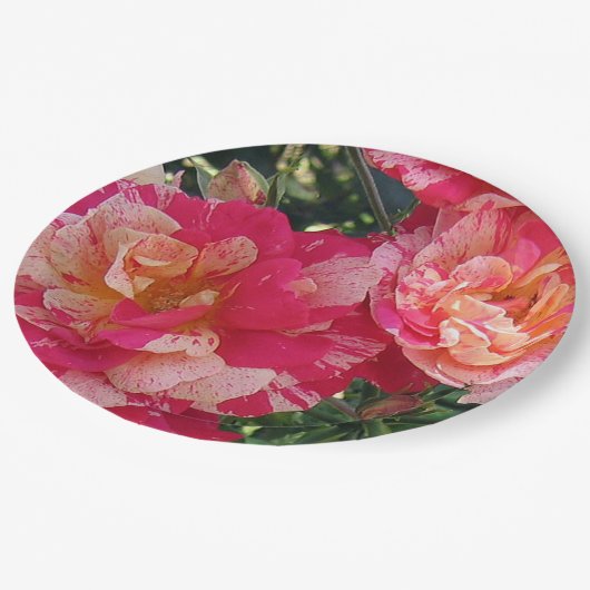 Rosa und weiße Streifen Rose Blumenstrauß Pappteller (Schrägansicht)