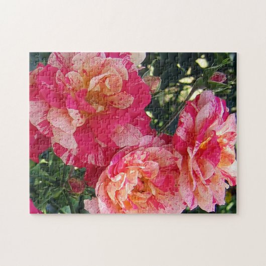 Rosa und weiße Streifen Rose Blumenstrauß Puzzle (Horizontal)