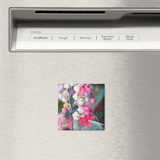 Rosa und weiße tropische Blume Magnet (In Situ (Geschirrspüler))