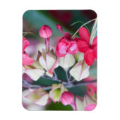 Rosa und weiße tropische Blume Magnet (Vertikal)