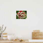 Rosa und weiße Tulip Poster (Küche)