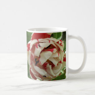 Rosa und weiße Tulip-Tasse Kaffeetasse