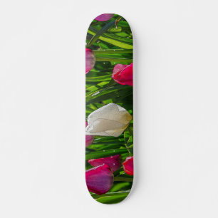 rosa und weiße Tulissen farbenfroh Skateboard