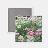Rosa und weiße Wildblumen Magnet (Vorderseite/Rückseite)