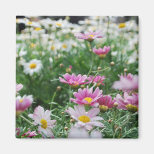 Rosa und weiße Wildblumen Magnet