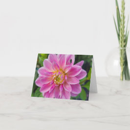 Rosa und weißer Garten Dahlia Feiertagskarte