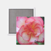 Rosa und weißes Begonia Magnet (Vorderseite/Rückseite)