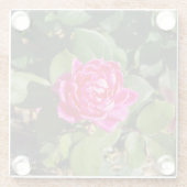 Rosa Untersetzer (Rückseite)