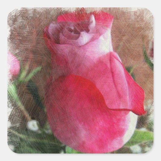 Rosa Valentine-Rose Quadratischer Aufkleber (Vorderseite)