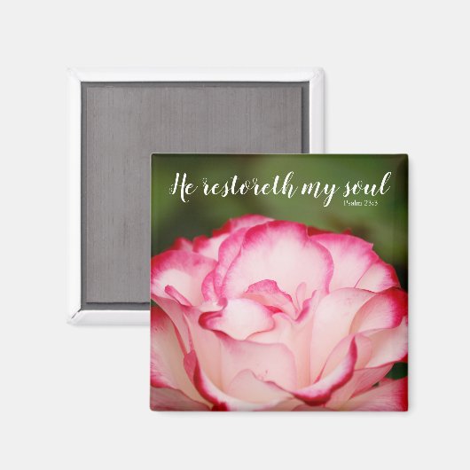 Rosa Variegierte Rose Psalm 23:3 Schrift Magnet (Vorderseite/Rückseite)