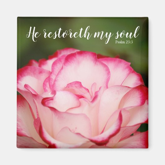 Rosa Variegierte Rose Psalm 23:3 Schrift Magnet (Vorne)