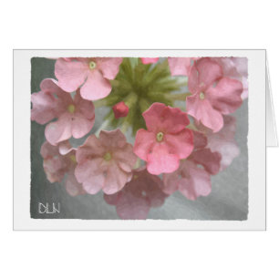 Rosa Verbena - florale Kunst