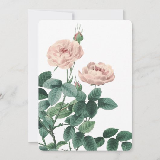 Rosa Vintage Blume Rahmen Hochzeitseinladung Einladung (Rückseite)