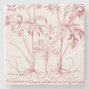 Rosa Vintage-Botanik-Art Steinuntersetzer