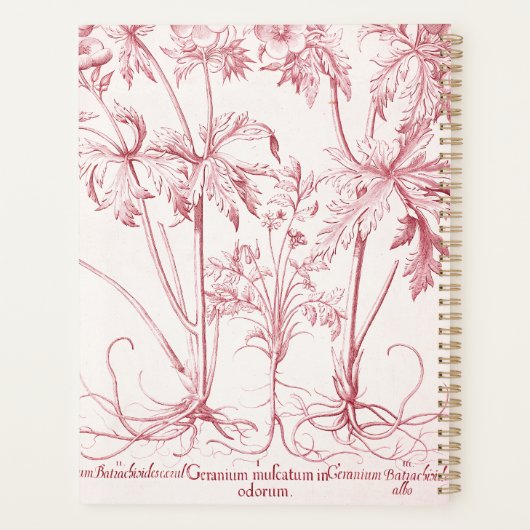 Rosa Vintage Botanische Art Monogram Planer (Rückseite)