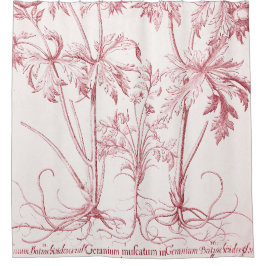 Rosa Vintage botanische Kunst Duschvorhang