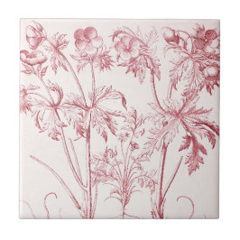 Rosa Vintage botanische Kunst Fliese