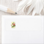 Rosa Vintage botanische Rose (Insitu)