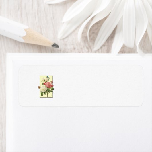 Rosa Vintage botanische Rose (Insitu)