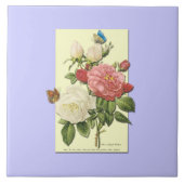 Rosa Vintage botanische Rose Fliese (Vorderseite)
