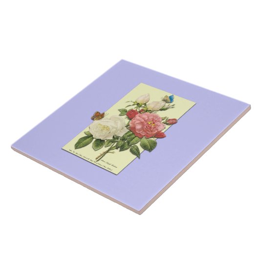 Rosa Vintage botanische Rose Fliese (Seite)