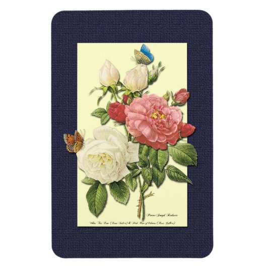 Rosa Vintage botanische Rose Magnet (Vertikal)
