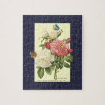 Rosa Vintage botanische Rose