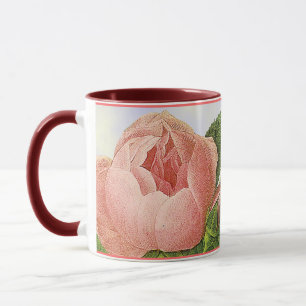 Rosa Vintage botanische Rosenknospe Kaffee Tasse