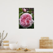 Rosa Vintage Cabbage Rose Naturgarten Poster (Küche)