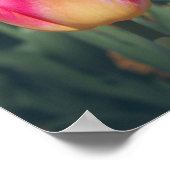 Rosa Vintage Federtulpen Poster (Ecke)