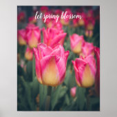 Rosa Vintage Federtulpen Poster (Vorne)