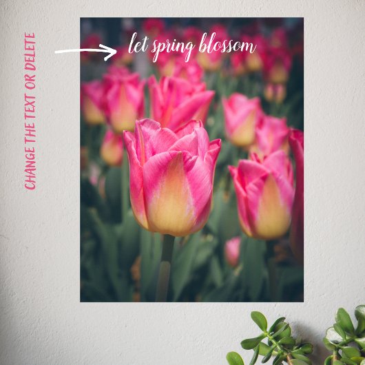 Rosa Vintage Federtulpen Poster