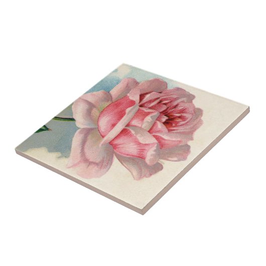 Rosa Vintage Keramik Tile Fliese (Seite)