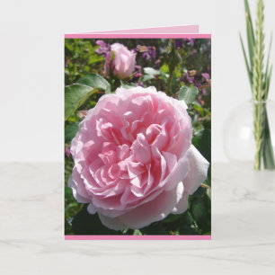Rosa Vintage-Kohl-Englische-Rose-Blumenkarte Karte