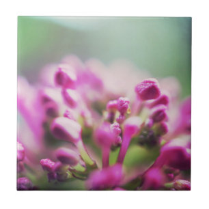 Rosa Vintage Makro-Blume Fliese