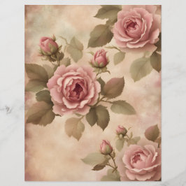 Rosa Vintage Rose