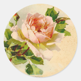 Rosa Vintage Rose Aquarellmalerei Runder Aufkleber