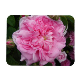 Rosa Vintage Rose Blume Blumen Kühlschrankmagnet Magnet