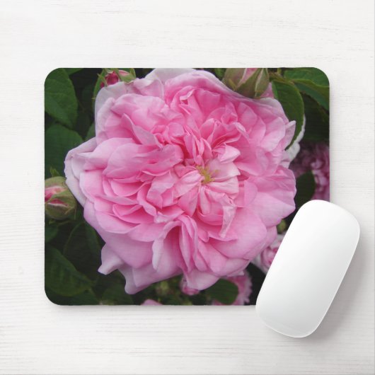 Rosa Vintage Rose Blume Mousepad (Mit Mouse)