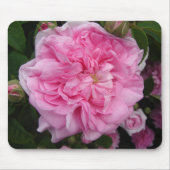 Rosa Vintage Rose Blume Mousepad (Vorne)