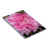Rosa Vintage Rose Blume Notizblock (Rechte Seite)