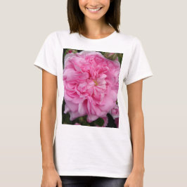 Rosa Vintage Rose Blume T-Shirt