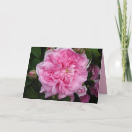 Rosa Vintage Rose Blumenbeete Blume Geburtstagskar Karte