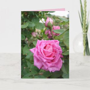 Rosa Vintage-Rose Rosen floral Blumen Garten Karte