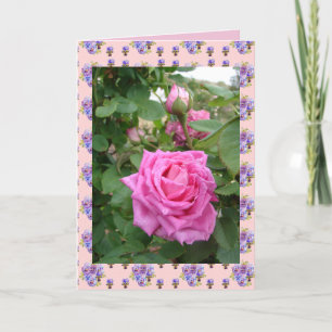 Rosa Vintage-Rose Rosen floral Blumen Garten Karte